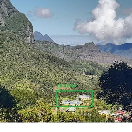 Olatika - Gite Des Cascades Cilaos Εξωτερικό φωτογραφία