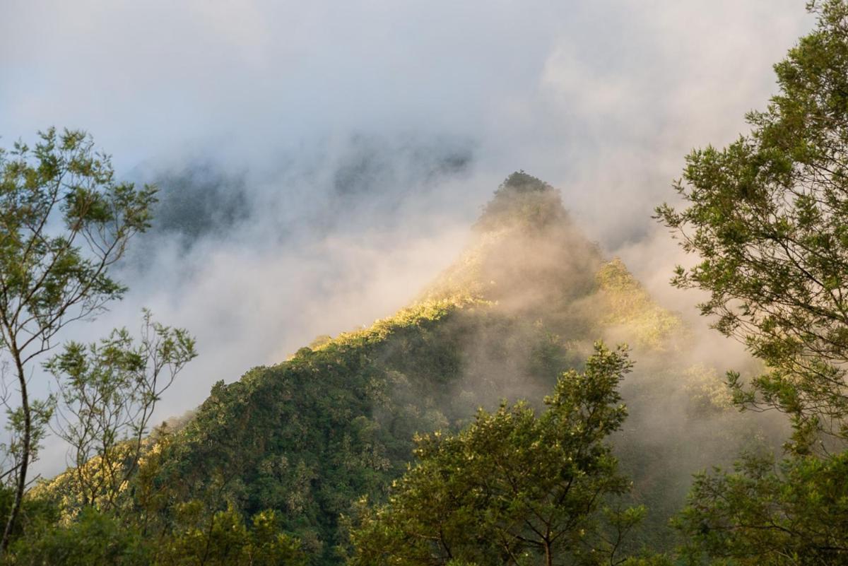 Olatika - Gite Des Cascades Cilaos Εξωτερικό φωτογραφία